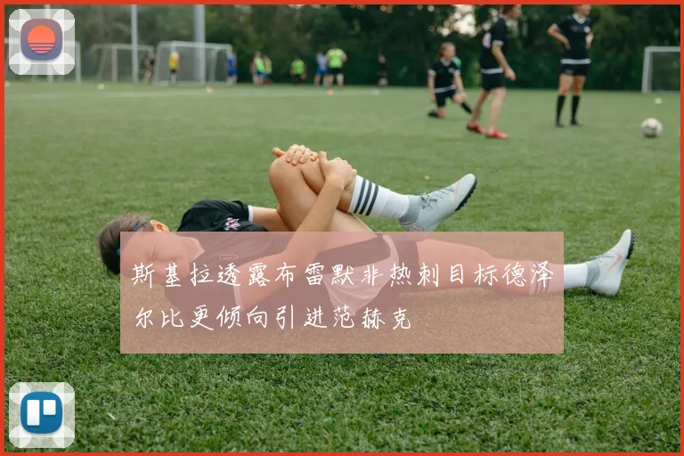 斯基拉透露布雷默非热刺目标德泽尔比更倾向引进范赫克