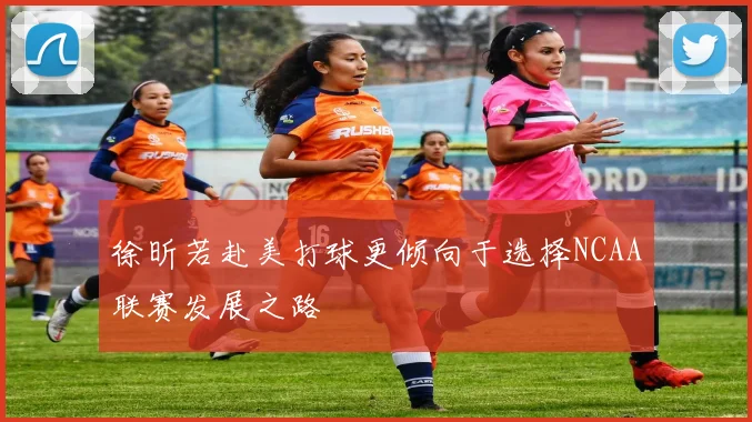 徐昕若赴美打球更倾向于选择NCAA联赛发展之路